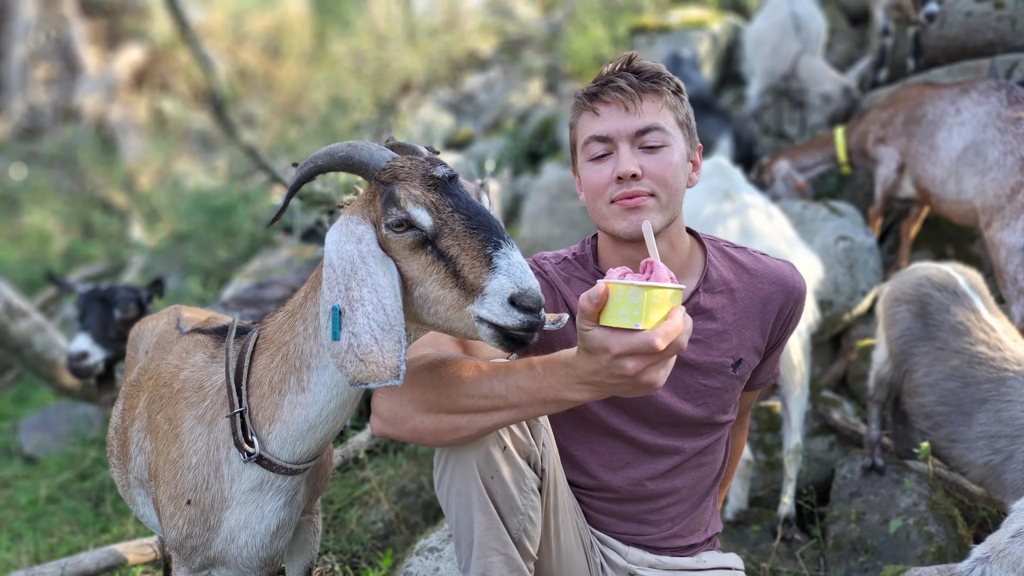 Oskar med sina getter